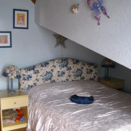 シャレー Orchidea *