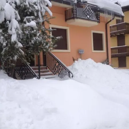 Orchidea Alpstuga Gallio